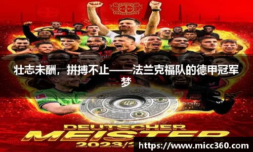 mk体育官网