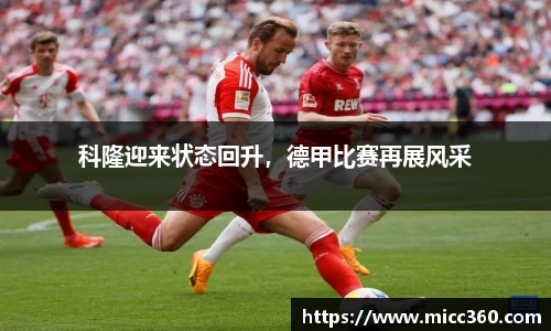 mk体育官网
