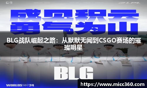 mk体育官网