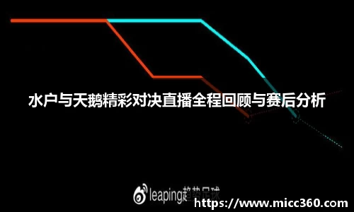 mk体育官网